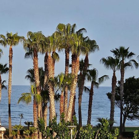 אורופסה דל מר Mondrian Magic World - Sea View First Line Of The Beach מראה חיצוני תמונה