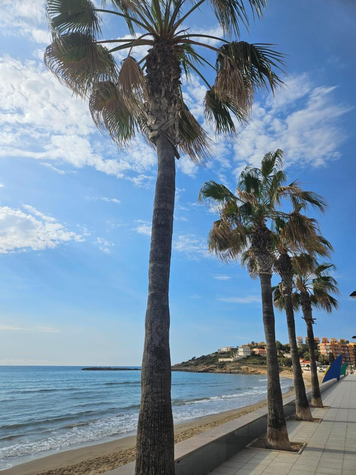 אורופסה דל מר Mondrian Magic World - Sea View First Line Of The Beach מראה חיצוני תמונה