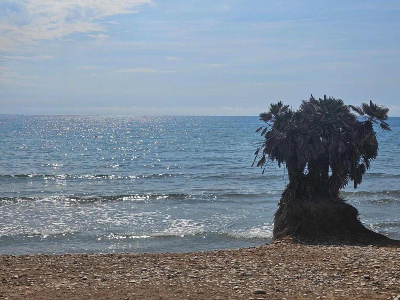 אורופסה דל מר Mondrian Magic World - Sea View First Line Of The Beach מראה חיצוני תמונה